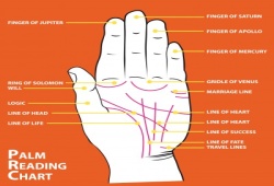 Palm Reading Chart And Explanation