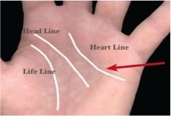 sentimental palmistry