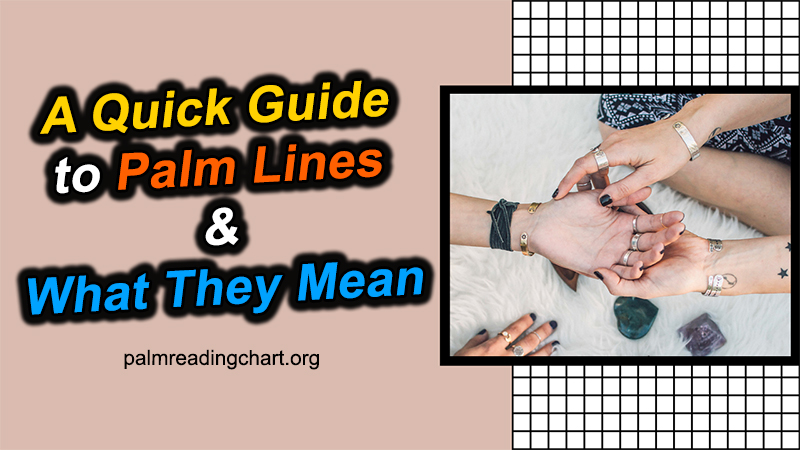 A Quick Guide to Palm Lines and What They Mean (Read NOW)