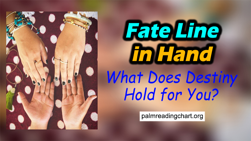 overview of fate line in palm