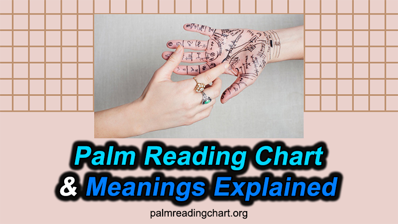 explaining palm reading chart