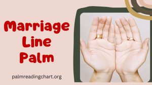 Marriage Line Palm: Signs of Divorce You Need to Know