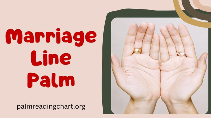 Marriage Line Palm: Signs of Divorce You Need to Know