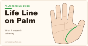 Life line on palm: right hand diagram with the life line highlighted in green