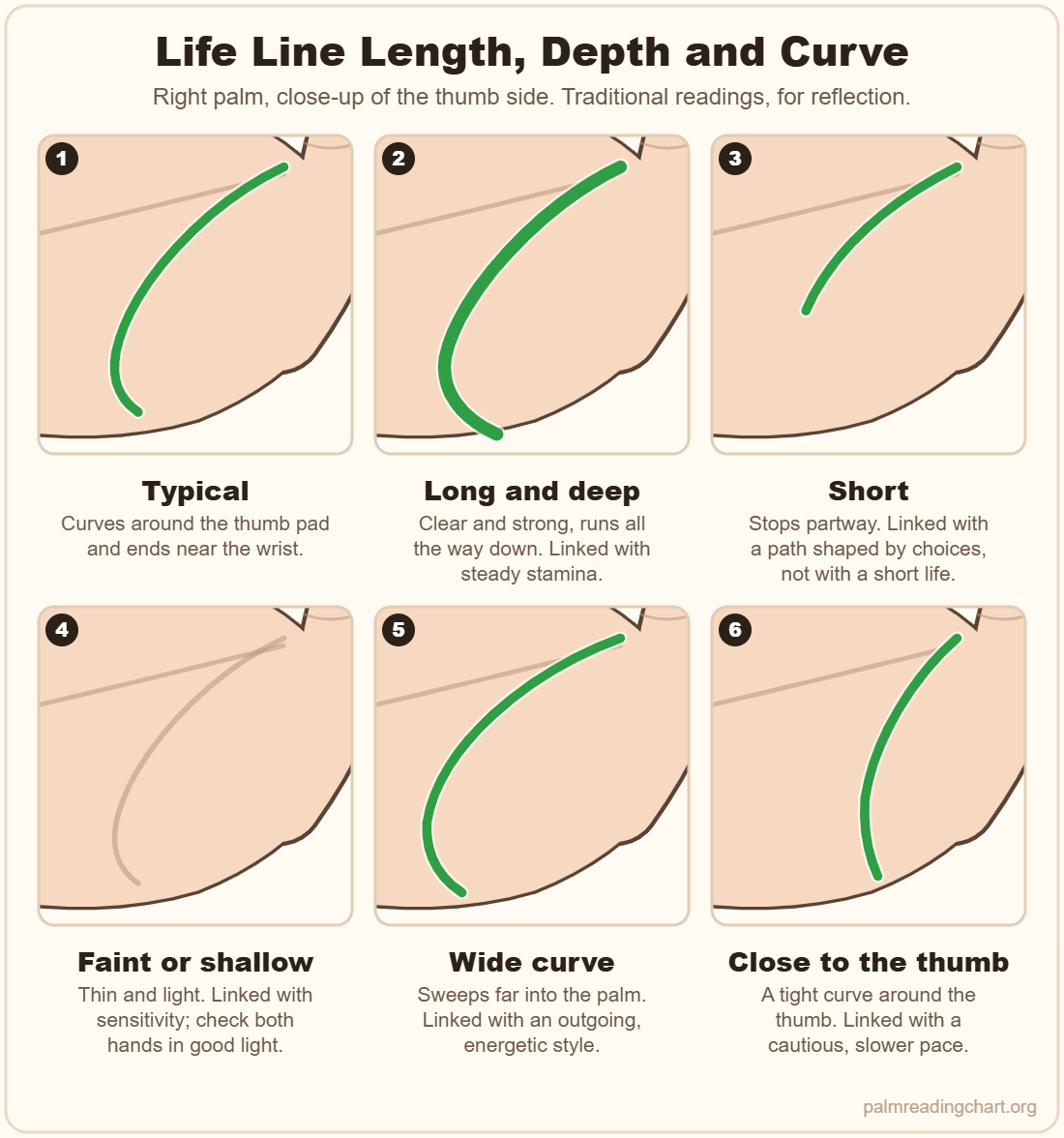 Six close-up diagrams of the life line: typical, long and deep, short, faint, wide curve and close to the thumb