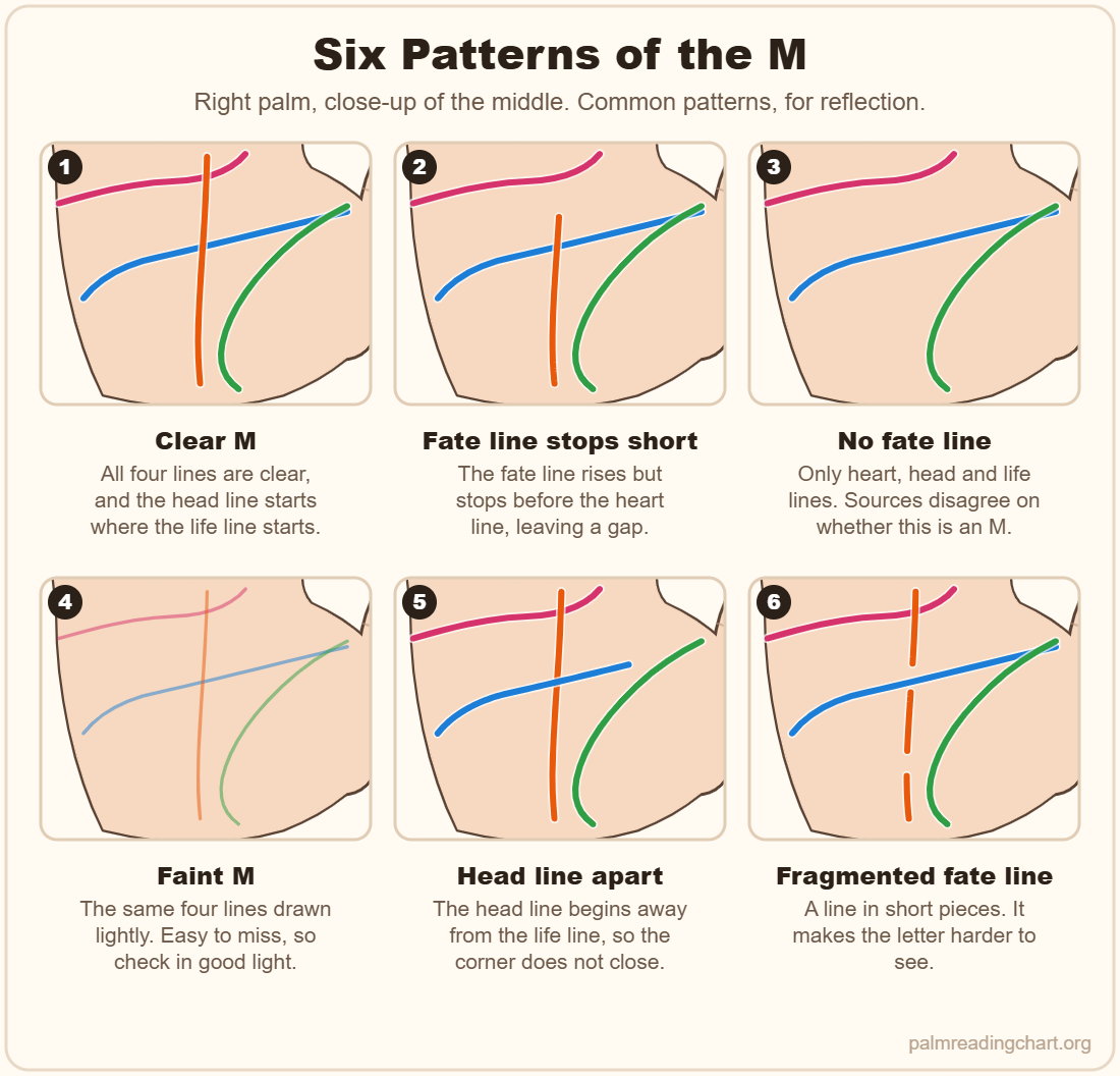 Six close-up palm diagrams of M patterns: clear M, fate line stops short, no fate line, faint M, head line apart from the life line and fragmented fate line